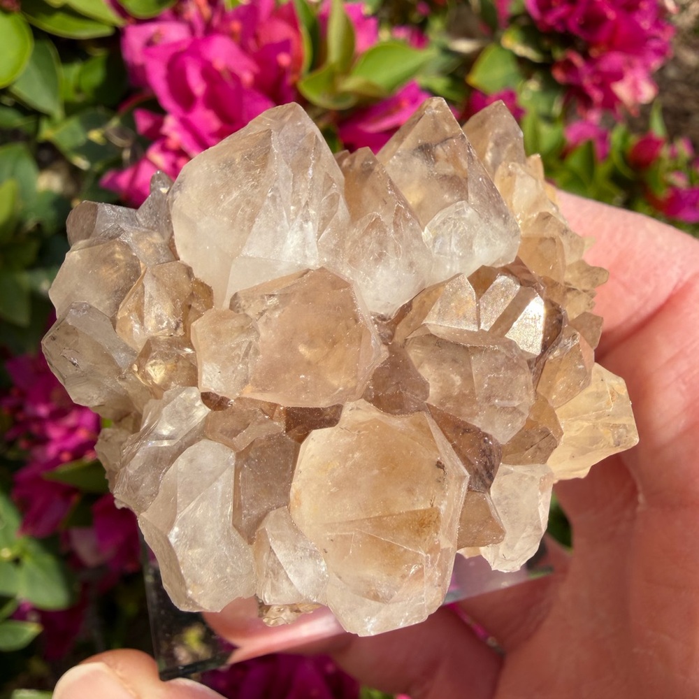 Quartz with Smoky and Citrine Display Stand